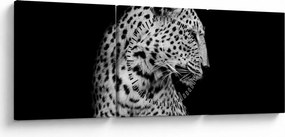 Tablou - Leopardul (cu ceas) (90x30 cm)