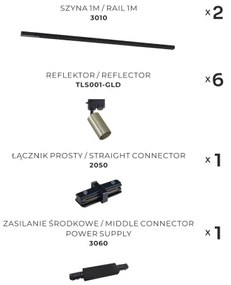 Spot în sistem de șină Zuma Line 3022 TUBE 6xGU10/35W/230V negru/auriu