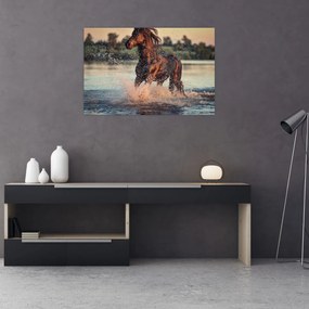 Tablou - Cal care aleargă (90x60 cm)