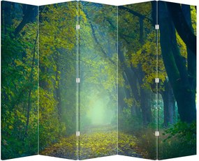 Paravan - Drum dea lungul cu copaci (210x170 cm)