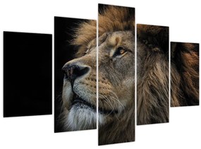 Tablou - Leul maiestuos (150x105 cm)
