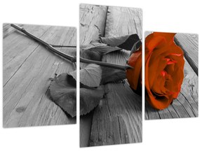 Tablou - Trandafir portocaliu (90x60 cm)