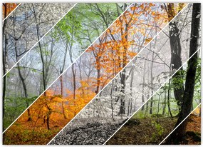 Tablou - Schimbarea anotimpurilor (70x50 cm)