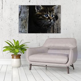 Tablou cu pisicuța (90x60 cm)