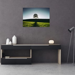 Tablou pe sticlă cu natura - copac (70x50 cm)