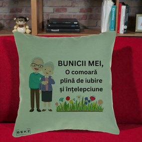 Cadou pentru Bunici - Perna Personalizata Bunicii Mei Comoara Cuplu Senior cu Flori Colorat, 40x40 cm, Verde, Husa Detasabila, Perna Inclusa, BEKZ®