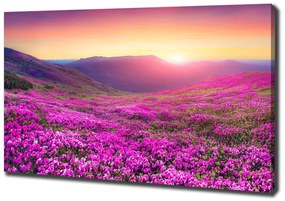 Tablou pe pânză canvas Deal roz