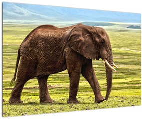 Tablou - Elefantul (90x60 cm)