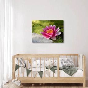 Tablou pe sticlă - Lotus (70x50 cm)