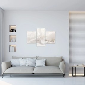 Tablou - Pană (90x60 cm)