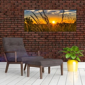 Tablou cu câmp în apus de soare (120x50 cm)