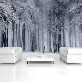 Fototapet - Iarna (152,5x104 cm)