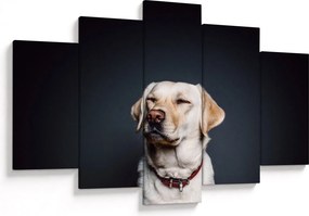 Tablou cu labrador (150x105 cm)