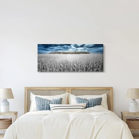 Tablou cu câmp (120x50 cm)