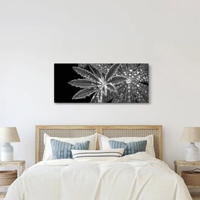 Tablou - Frunze cu picături (120x50 cm)