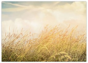 Tablou pe sticlă - Câmp toamna (70x50 cm)