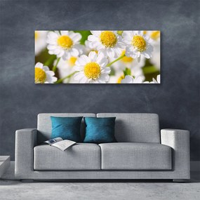 Tablou pe panza canvas Daisy Floral Galben Alb