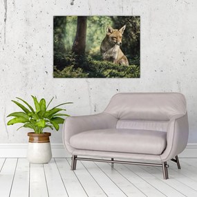 Tablou pe sticlă cu vulpe (70x50 cm)