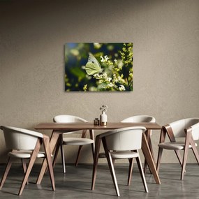 Tablou pe sticlă cu fluture (70x50 cm)