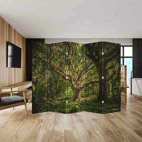 Paravan - Copaci (210x170 cm)
