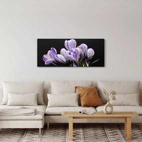 Tablou - Crocus violet (120x50 cm)