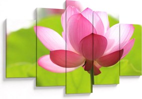 Tablou cu flori de lotus (150x105 cm)