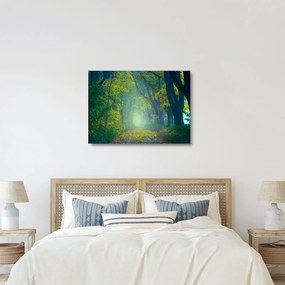 Tablou pe sticlă cu drum dea lungul cu copaci (70x50 cm)