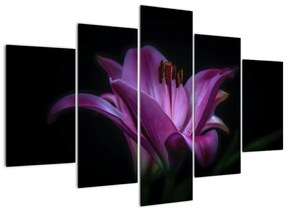 Tablou crinul (150x105 cm)