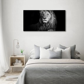 Imprimare tablou canvas Leu