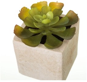 Plante artificiale 6 buc. (înălțime 9,5 cm) Cactus – Casa Selección