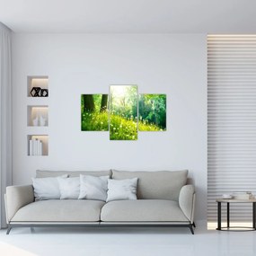 Tablou - Pajiște magică plină de păpădii (90x60 cm)