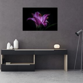Tablou crinul (90x60 cm)