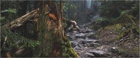 Tablou - În pădure (120x50 cm)