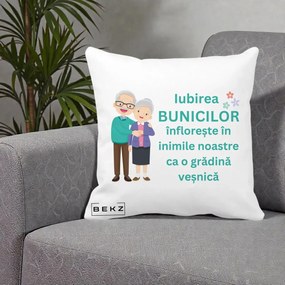 Cadou pentru Bunici - Perna Personalizata Bunicii Iubirea Infloreste Cuplu Senior Teal, 40x40 cm, Alba Mata, Husa Detasabila, Perna Inclusa, BEKZ®