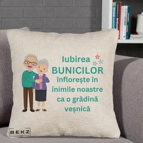 Cadou pentru Bunici - Perna Personalizata Bunicii Iubirea Infloreste Cuplu Senior Teal, 40x40 cm, Bej Canapea, Husa Detasabila, Perna Inclusa, BEKZ®
