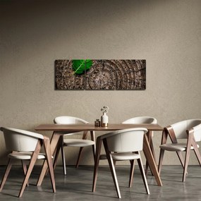 Tablou cu frunză pe trunchi de copac (cu ceas) (90x30 cm)