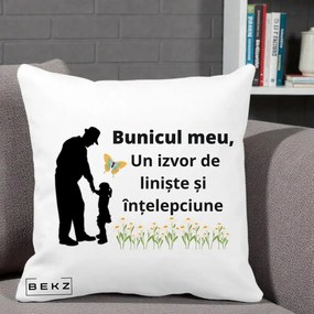 Cadou pentru Bunic - Perna Personalizata Bunicul Meu Izvor de Liniste cu Fluture si Fetita, 40x40 cm, Alba Mata, Husa Detasabila, Perna Inclusa, BEKZ®