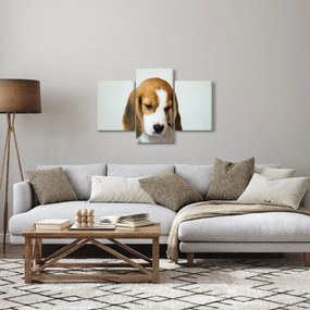 Tablou cu bigl (90x60 cm)