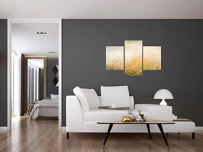Tablou - Câmp toamna (90x60 cm)