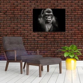 Tablou - Gorila (70x50 cm)