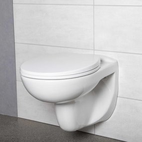 Set rezervor WC montat pe perete Doris Pacific CH