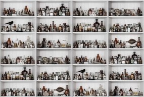 Fototapet, 3D Cabinet of Curios, Raw, Rebel Walls