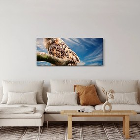 Tablou cu bufnița (120x50 cm)