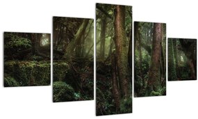 Tablou - Pădurea enigmatică (125x70 cm), în 40 de alte dimensiuni noi