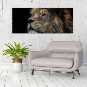 Tablou - Leul maiestuos (120x50 cm)