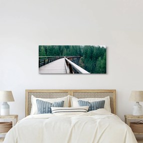 Tablou - Pod spre vârfurile copacilor (120x50 cm)