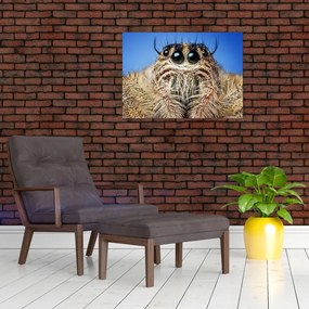 Tablou pe sticlă cu detalii a unui pâianjen (70x50 cm)