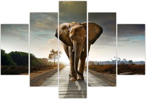 Tablou cu elefant (150x105 cm)