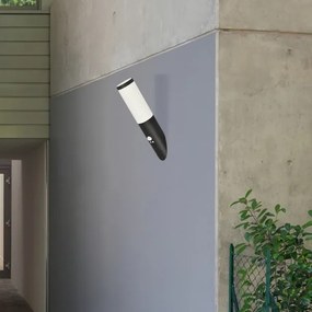 Rabalux 8146 - Aplica exterior cu senzor BLACK TORCH 1xE27/25W/230V