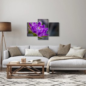 Tablou floarei (90x60 cm)